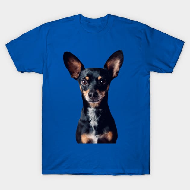 Mini Pinscher T-Shirt by KVC 